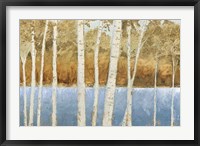 Framed Lakeside Birches