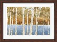 Framed Lakeside Birches