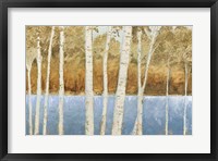 Framed Lakeside Birches