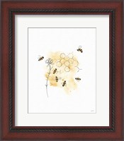 Framed Bees and Botanicals VI
