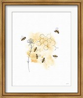 Framed Bees and Botanicals VI