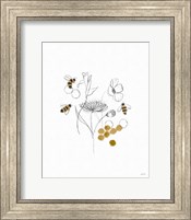 Framed Bees and Botanicals V