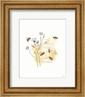 Framed Bees and Botanicals I