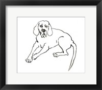 Framed Dog III