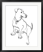 Framed Dog IV