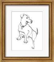 Framed Dog IV