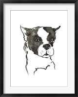 Framed Dog V