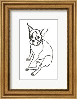 Framed Dog VI