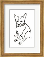 Framed Dog VIII