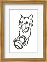 Framed Dog IX