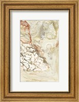 Framed Coral & Alabaster II