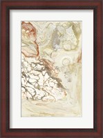 Framed Coral & Alabaster II