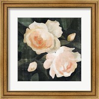 Framed 'Soft Garden Roses I' border=