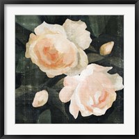 Framed Soft Garden Roses I