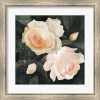 Framed Soft Garden Roses I
