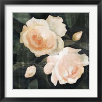 Framed 'Soft Garden Roses I' border=