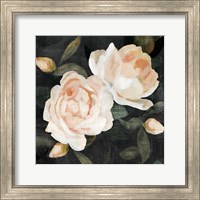 Framed 'Soft Garden Roses II' border=