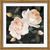 Framed Soft Garden Roses II