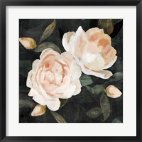 Framed 'Soft Garden Roses II' border=