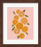 Framed 'Spring Citrus I' border=