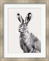 Framed Wild Hare I