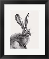 Framed Wild Hare II