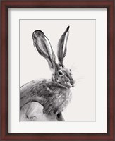 Framed Wild Hare II