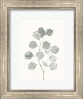 Framed Delicate Sage Botanical I