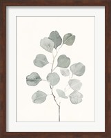 Framed Delicate Sage Botanical I