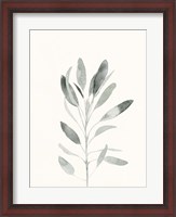 Framed Delicate Sage Botanical II