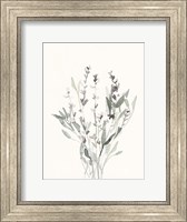 Framed Delicate Sage Botanical V