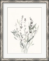 Framed Delicate Sage Botanical V