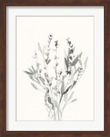 Framed Delicate Sage Botanical V