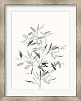 Framed Delicate Sage Botanical VI