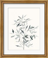 Framed Delicate Sage Botanical VI