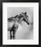Framed 'Charcoal Equine Portrait I' border=