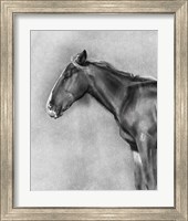 Framed 'Charcoal Equine Portrait II' border=