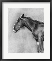Charcoal Equine Portrait II Framed Print