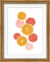 Framed Festive Fruit I