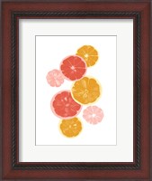 Framed Festive Fruit II