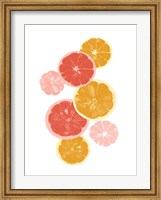 Framed Festive Fruit II