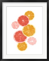 Framed Festive Fruit II