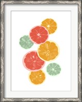 Framed Festive Fruit IV
