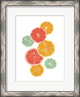 Framed Festive Fruit IV