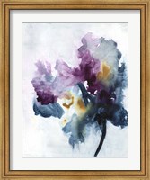 Framed Bouquet II