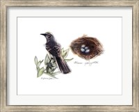 Framed Bird & Nest Study I
