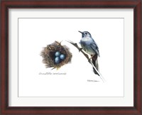 Framed Bird & Nest Study II