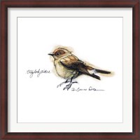 Framed Songbird Study I