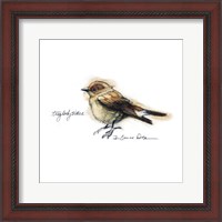 Framed Songbird Study I