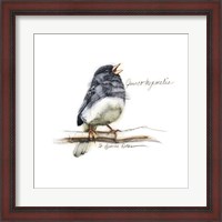 Framed Songbird Study VI